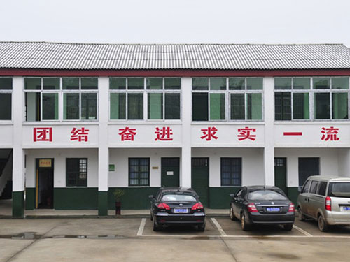 企業(yè)實(shí)力5