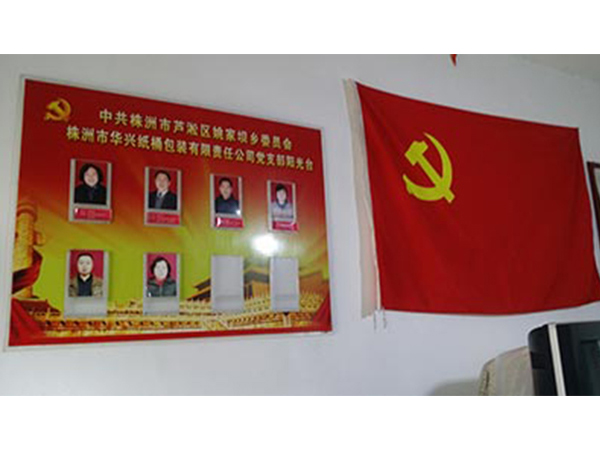 企業(yè)實(shí)力